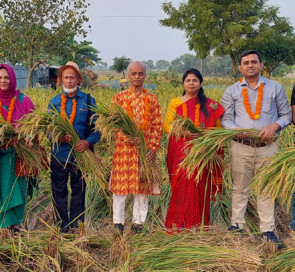 রাজশাহীতে নবান্ন উৎসব অনুষ্ঠিত