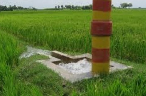 জিম্মি করে টাকা আদায়ে মরিয়া বিএমডিএ-এর ২ কর্মকর্তা