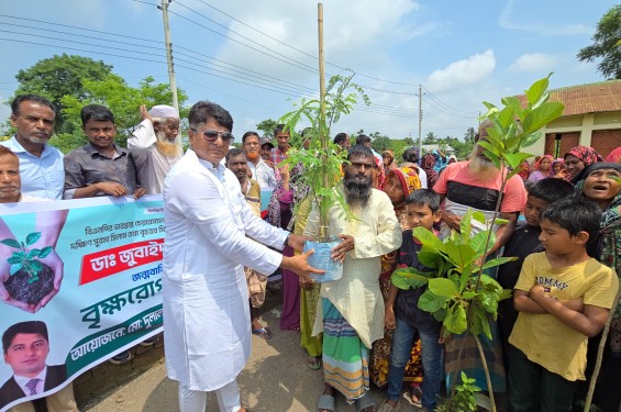 ডাক্তার জোবাইদা রহমানের জন্মদিনে  রূপগঞ্জে বৃক্ষ রোপন কর্মসূচি অনুষ্ঠিত