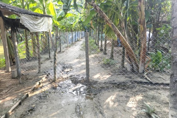 শৈলকুপায় জমি দখল নিয়ে দাদাগিরি! পরিবারের রাস্তা বন্ধ করে অবরুদ্ধ