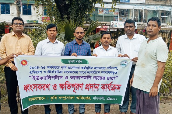 বাঁশখালীতে ইউক্যালিপটাস ও আকাশমনি চারা ধ্বংস ও ক্ষতিপূরণ প্রদান