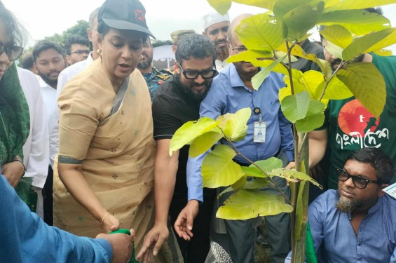 পূর্বাচলে বনায়ন কর্মসূচির উদ্বোধন করলেন বন ও পরিবেশ উপদেষ্টা সৈয়দা রিজওয়ানা হাসান