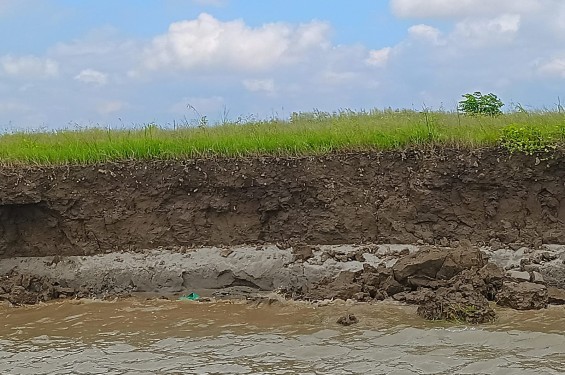 ফরিদপুরে  ভাঙ্গন আতঙ্কে পদ্মা পাড়ের মানুষ