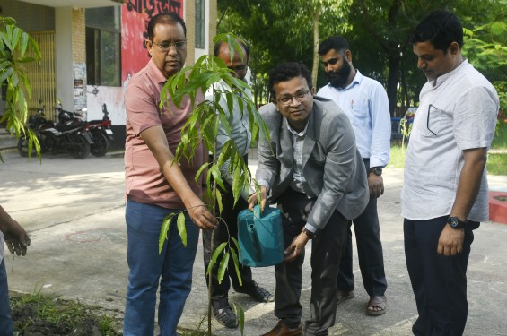 নোবিপ্রবিতে বৃক্ষরোপণ কর্মসূচি অনুষ্ঠিত