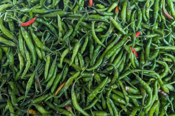 কাঁচা মরিচের দাম আরো বেড়ে কেজি ৪৫০ টাকা