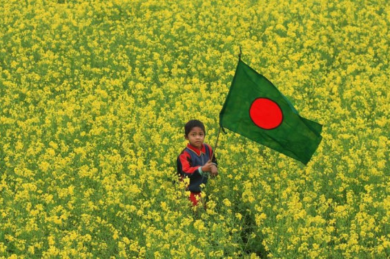 মা মাতৃভাষা আর মাতৃভূমি: পরম পূত ও পবিত্র