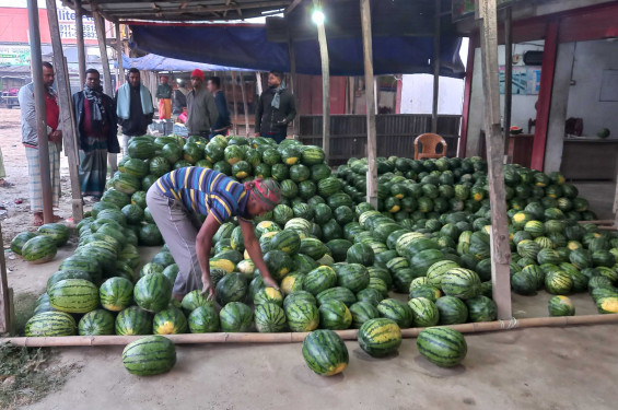 কদর বেড়েছে মৌসুমী ফলের