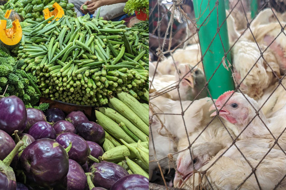 চড়া সবজির দাম , কমেছে মুরগির দাম