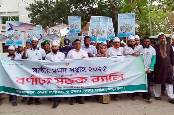 নড়াইলে জাতীয় মৎস্য সপ্তাহ উদ্বোধন ‘অভয়াশ্রম গড়ে তুলি, দেশি মাছে দেশ ভরি’