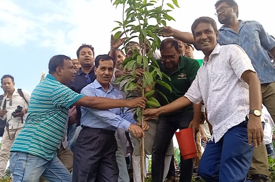 শহীদ রাষ্ট্রপতি জিয়াউর রহমানের ৪৪ তম শাহাদাত বার্ষিকী উপলক্ষে বৃক্ষরোপন কর্মসূচি পালন