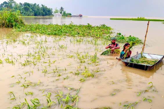 উত্তরের ৪ জেলায় বন্যার পদধ্বনি