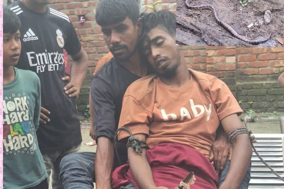 আত্রাইয়ে বিষধর সাপে কামড়ে যুবকের করুণ মৃত্যু