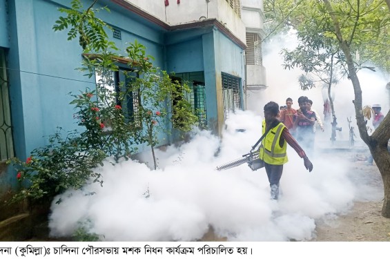 ডেঙ্গু প্রতিরোধে চান্দিনা পৌরসভায় মশক নিধন কার্যক্রম