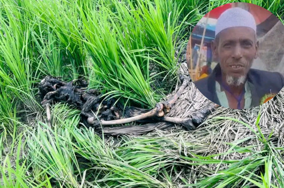 নিখোঁজ হওয়ার ৬ দিন পর নিজ জমি থেকে বৃদ্ধের মরদেহ উদ্ধার