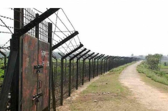 ঠাকুরগাঁও সীমান্তে ২৩ জনকে পুশইন করেছে বিএসএফ