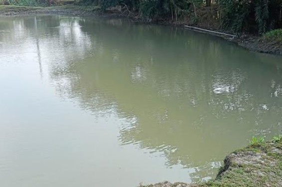 টাঙ্গাইলে পানিতে ডুবে ৩ শিশুর মর্মান্তিক মৃত্যু