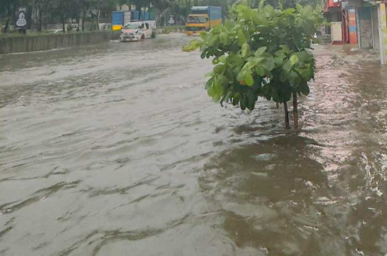 ২৪ ঘণ্টায়  ঢাকায় ২০৬ মিলিমিটার বৃষ্টি, আজও বজ্রসহ বৃষ্টির আভাস