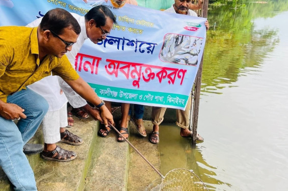 কালীগঞ্জে উপজেলা ও পৌর মৎস্যজীবী দলের উদ্যোগে চিত্রা নদীতে মাছের পোনা অবমুক্ত