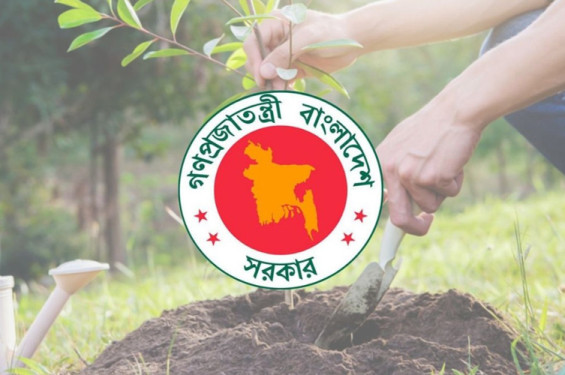 সারা দেশে ২৫ কোটি বৃক্ষরোপণ করবে সরকার