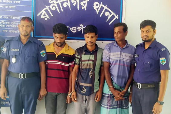 রাণীনগর থানা-পুলিশের অভিযানে ৩ জন গ্রেপ্তার, চুরির ৫ গরু উদ্ধার