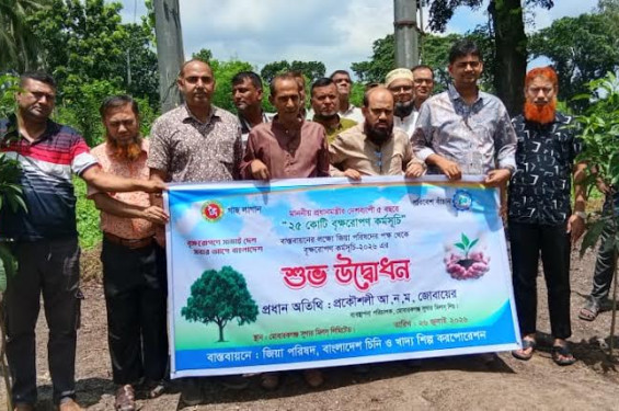 মোবারকগঞ্জ সুগার মিলে জিয়া পরিষদের উদ্যোগে বৃক্ষরোপণ কর্মসূচি অনুষ্ঠিত