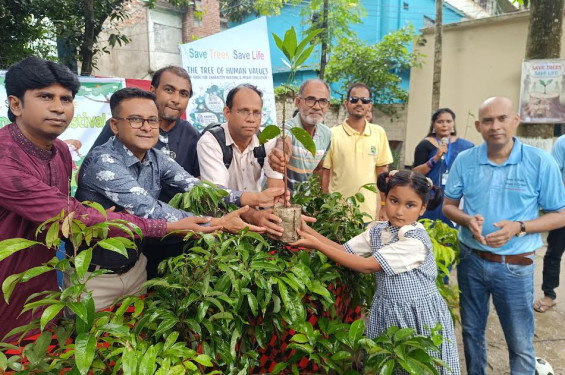 ঝিনাইদহে পরিবেশের ভারসাম্য রক্ষায় গাছের চারা বিতরণ