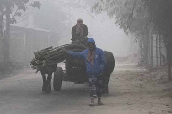 সপ্তাহ ধরে বইছে মৃদু শৈত্যপ্রবাহ