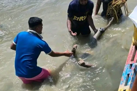 রাণীনগরে পিকনিকের নৌকা থেকে পড়ে নিখোঁজ কিশোরের লাশ উদ্ধার