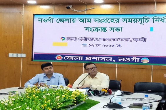 নওগাঁ জেলায় এবার ২২ মে থেকে আম সংগ্রহ শুরু হবে।