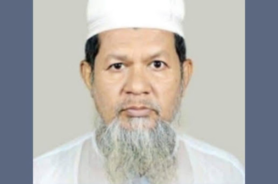 ইউনিয়ন বিএনপির সম্পাদক নির্বাচিত হলেন উপদেষ্টা মাহফুজের বাবা