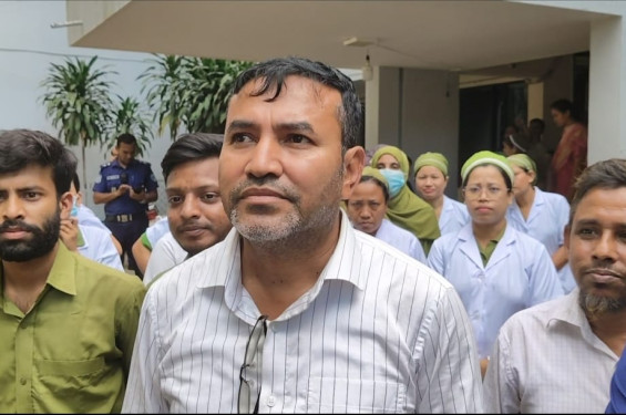 ছাদ বাগানের আনারে প্রবাস ফেরত যুবকের বাজিমাত