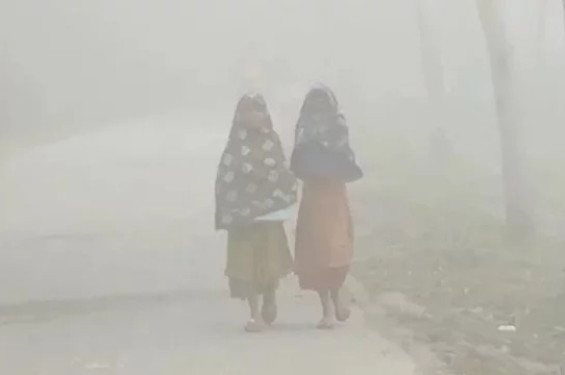 শৈত্যপ্রবাহ: প্রাথমিক বিদ্যালয়ে ক্লাস শুরু সকাল ১০টায়