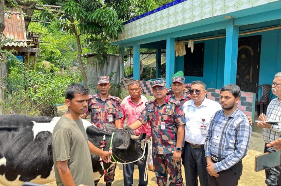 স্বর্ণা দাসকে ছাড়া পরিবারের প্রথম নববর্ষ; বিজিবির মানবিক সহায়তা