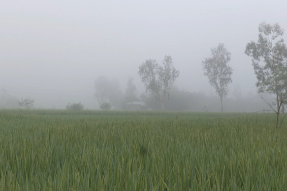 কমবে দিন ও রাতের তাপমাত্রা