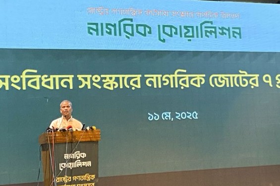 নতুন সংবিধান প্রণয়ন হতে অনেক সময় লাগবে : আসিফ নজরুল