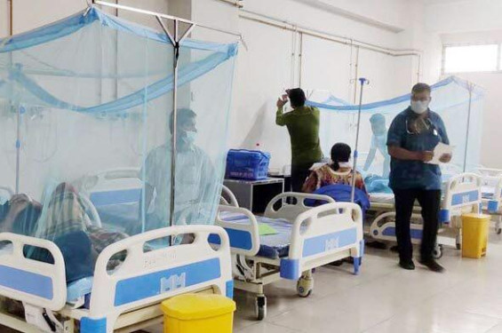 ডেঙ্গুতে আরো ৩ প্রাণহানি