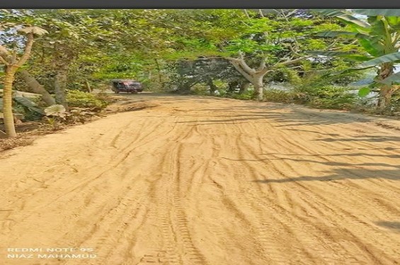 উজিরপুরের ধামুরা-সাতলা সড়কের বেহাল দশা, ভোগান্তি চরমে