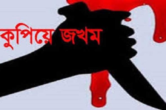 জমি সংক্রান্ত বিরোধে মুক্তিযোদ্ধাকে কুপিয়ে আহত