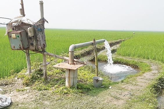 কৃষি জমি সংরক্ষণে অধ্যাদেশ আসছে: উপদেষ্টা