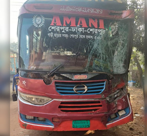 গাজীপুরে পৃথক সড়ক দুর্ঘটনায় নারীসহ দুজন নিহত