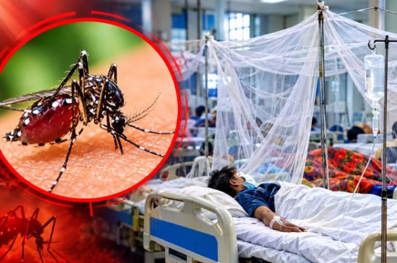 ডেঙ্গু মোকাবিলায় সারাদেশে স্বাস্থ্যসেবা জোরদার সরকারের