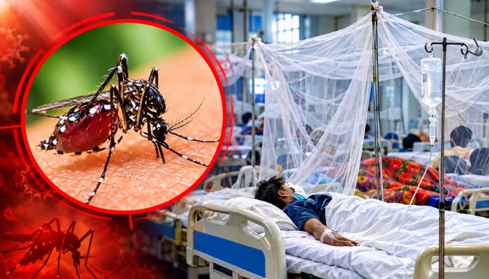ডেঙ্গু মোকাবিলায় সারাদেশে স্বাস্থ্যসেবা জোরদার সরকারের