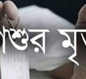 সাতকানিয়ায় পুকুরের পানিতে শিশুর মৃত্যু