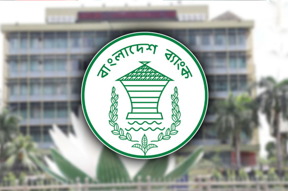 শনিবার ব্যাংক খোলা রাখতে ইসির চিঠি