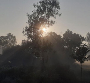 পাঁচ দিন ধরে শৈত্যপ্রবাহে কাঁপছে পঞ্চগড়