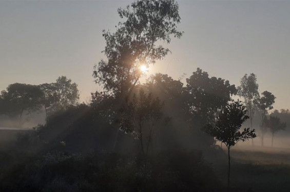 পাঁচ দিন ধরে শৈত্যপ্রবাহে কাঁপছে পঞ্চগড়