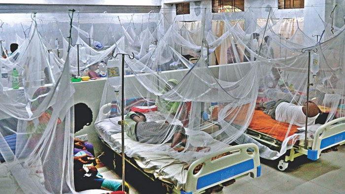 ২৪ ঘণ্টায় ডেঙ্গুতে আরো ১০ জনের মৃত্যু