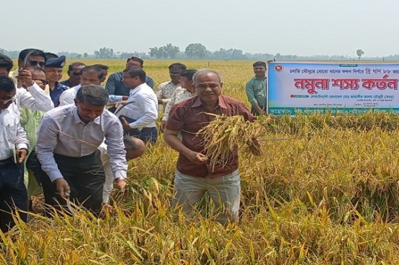 দিনাজপুরে বোরো ধান কাটা কার্যক্রম আনুষ্ঠানিক ভাবে উদ্বোধন করেন স্বরাষ্ট্র ও কৃষি উপদেষ্টা