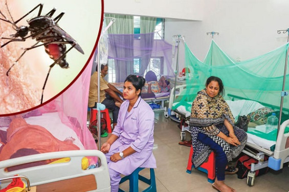ডেঙ্গু আক্রান্ত হয়ে হাসপাতালে ভর্তি ২০০