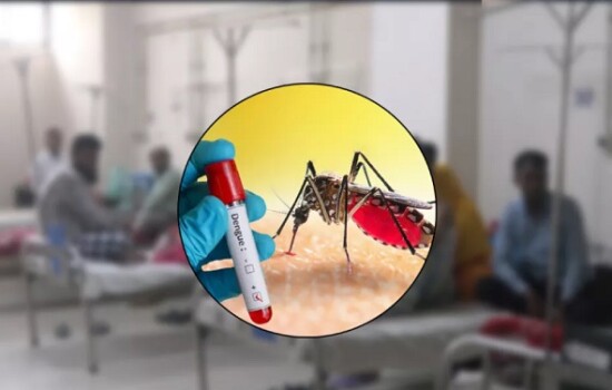 ৭ দিনেই ডেঙ্গু কেড়ে নিল ৪৪ প্রাণ